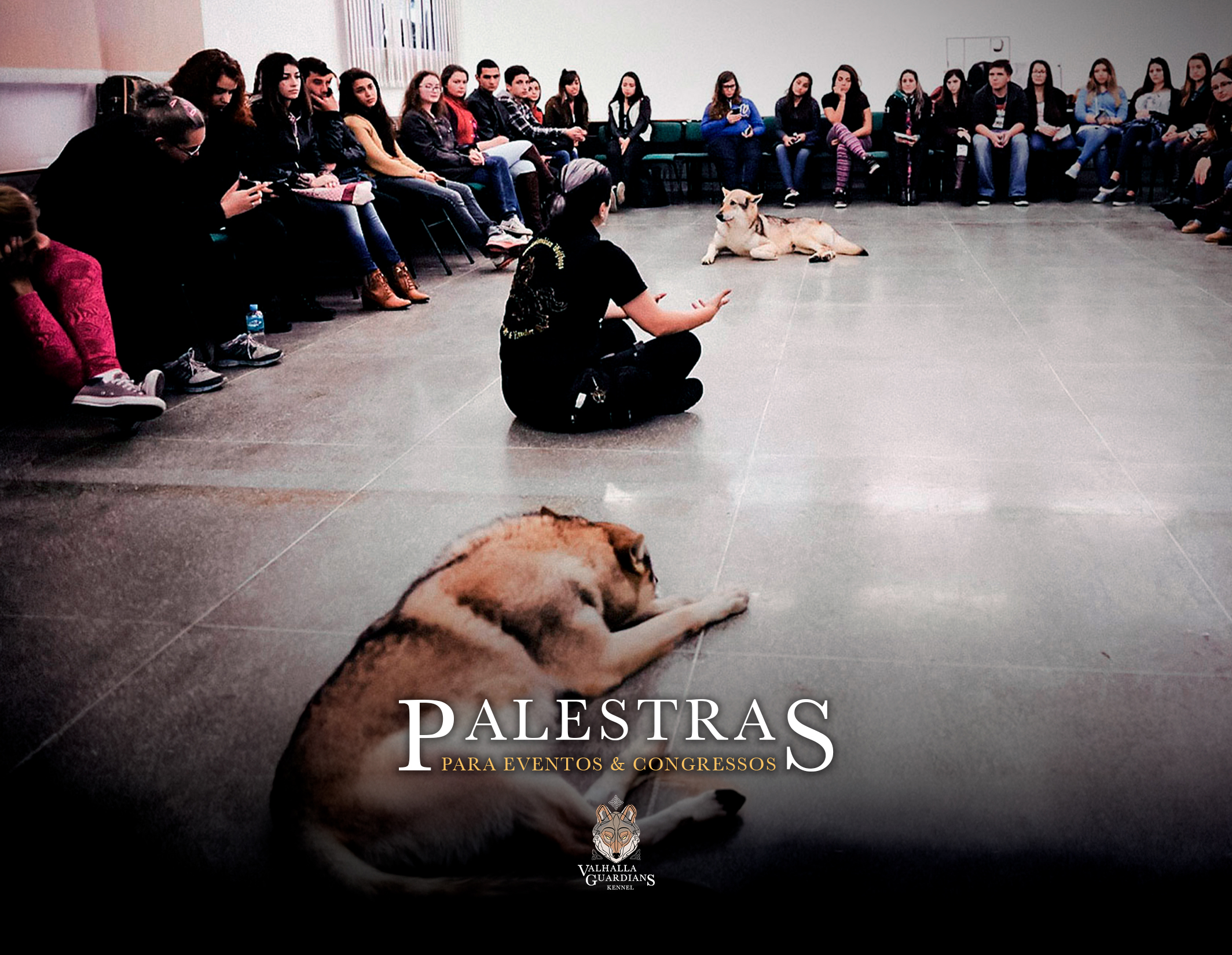 Consultoria de escolha para futuros proprietários de Cães Lobos