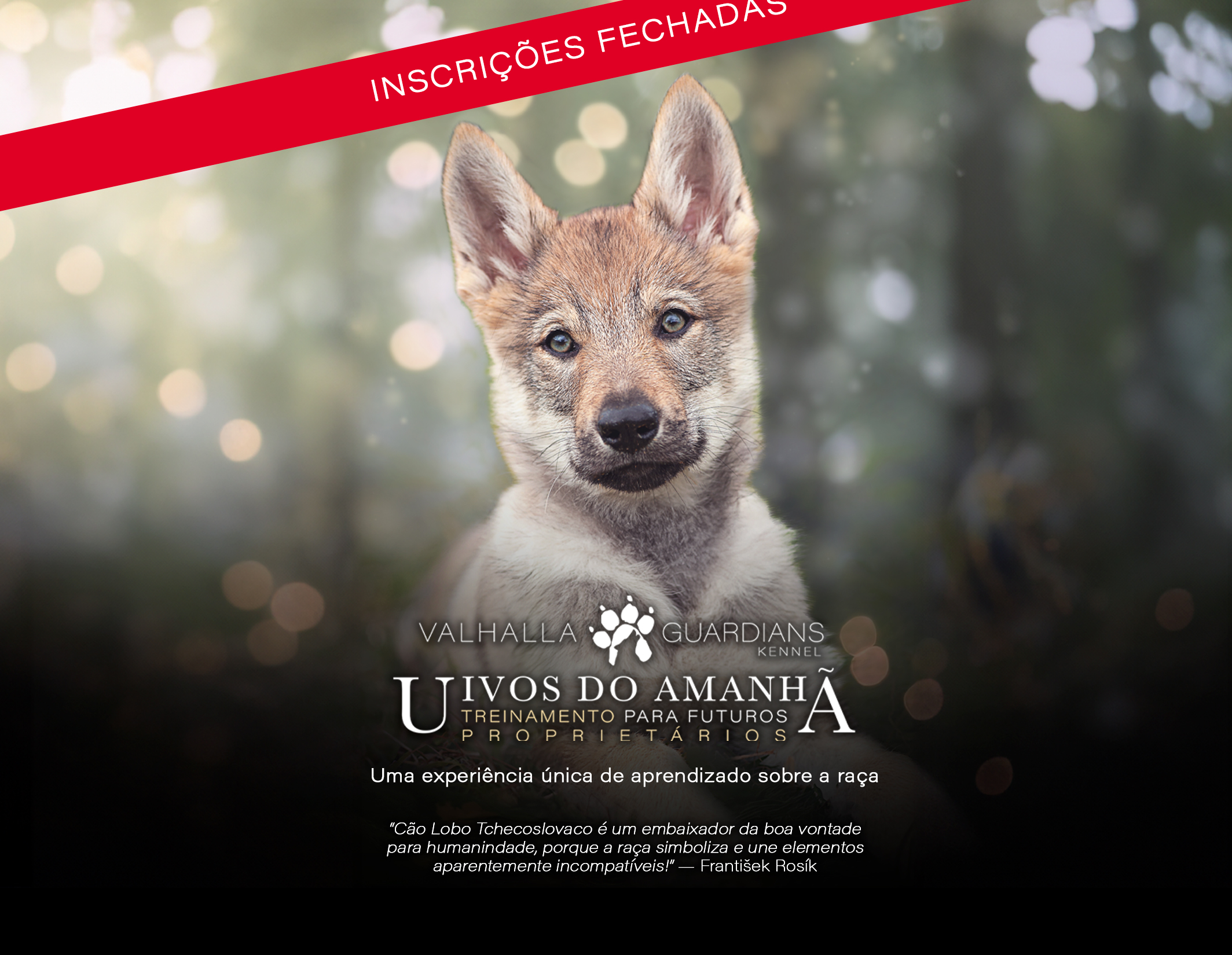 Capa do curso Uivos do Amanhã